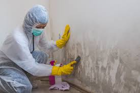 Best Mold Damage Restoration  in Summit, MS